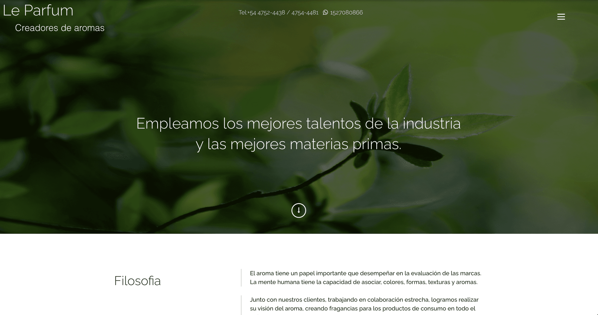 Corporate Landing Page